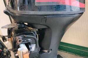 MERCURY 25 cv 4t lungo avv. el