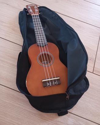 chitarra ukulele