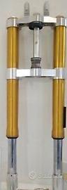 forcelle fantic caballero  500