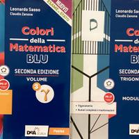 Matematica per i licei.