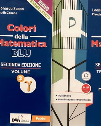 Matematica per i licei.