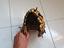Immagine 5