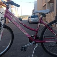bicicletta 