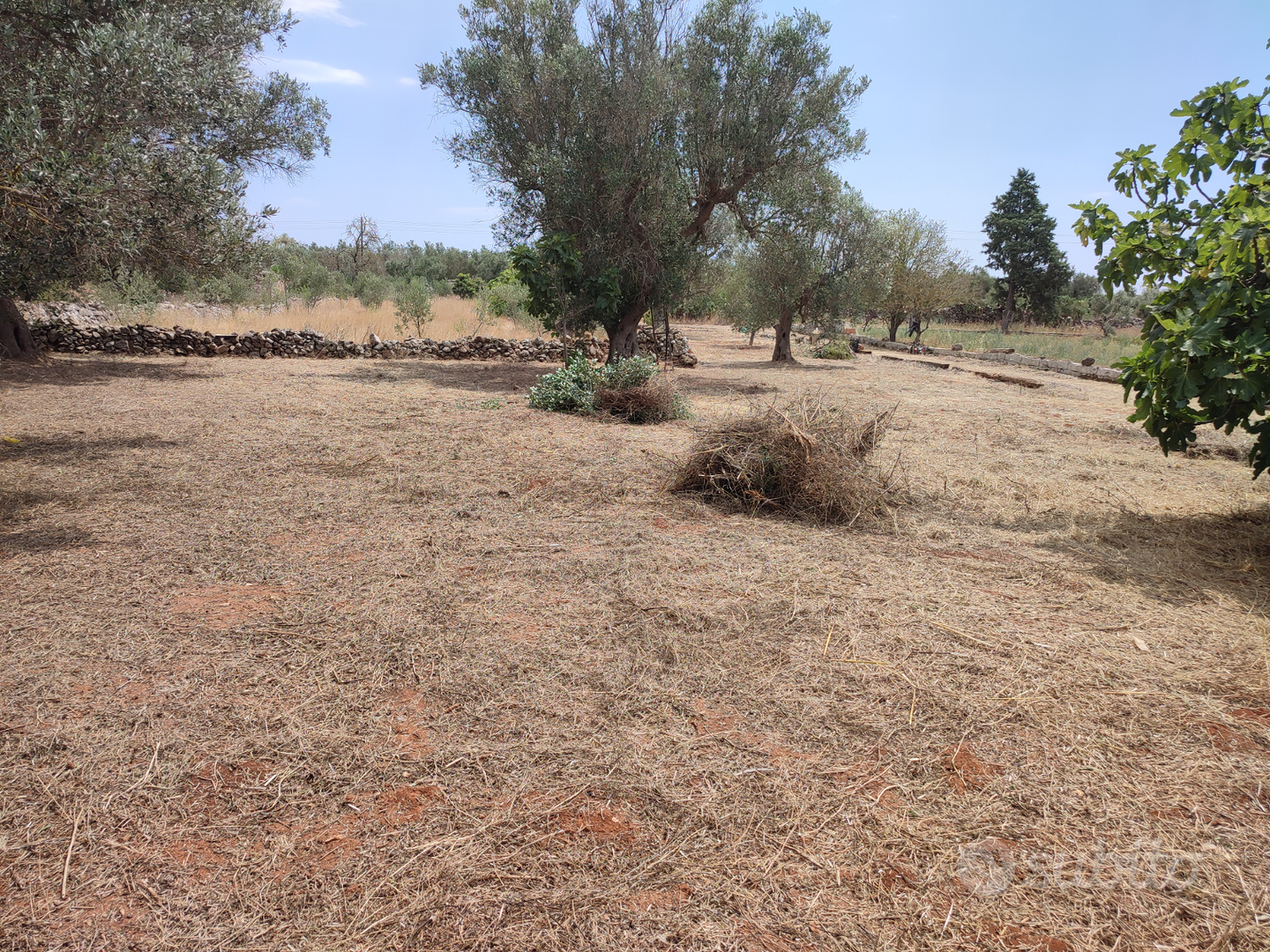 Terreno agricolo - Vista 3