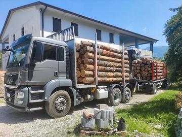 Legna da ardere di Faggio in tronchi