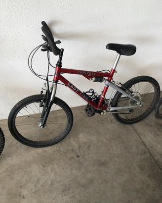 mountain bike (MTB) , modello Easy Time.