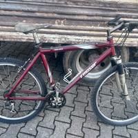 Bici uomo