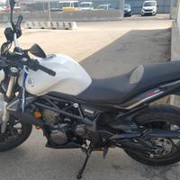 Benelli BN 302 - 2016