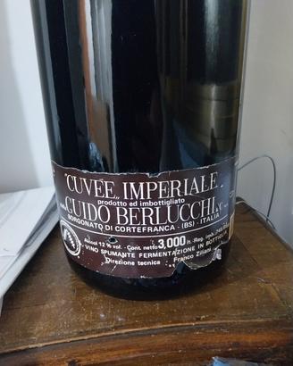 BOTTIGLIA VINTAGE BERLUCCHI 3L AFFA.RE
