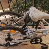 CAR BIKE 