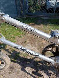 bicicletta pieghevole Gekko bike