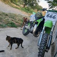 Kawasaki KX 125 - 1999