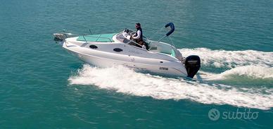 Aquabat Sport Cruiser 20 + Mercury 40  CV PRO