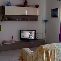 Libera dal 17 agosto