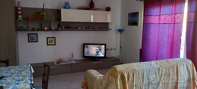 Libera dal 17 agosto