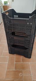 cassette plastica raccolta frutta /olive 