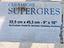 Immagine 3
