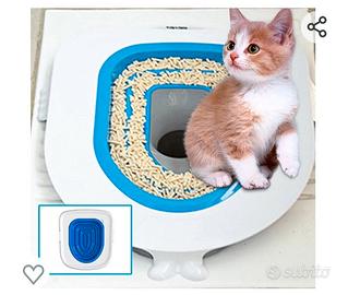 Toilette trainer per gattini