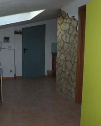 Monolocale (studentesse)
