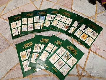 Medicine Illustrated 