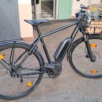 Ebike Riese & Muller