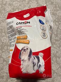 Pannolini mutandina per cani