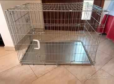 Kennel
