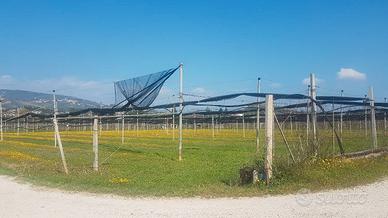 S.ambrogio di valp. terreno agricolo no D.O.C