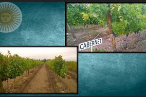 Vigneto e villa in mendoza argentina