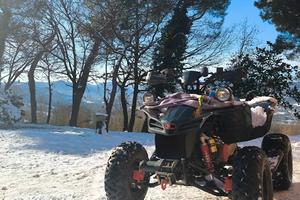 quad Kymco mxu 250 no targa