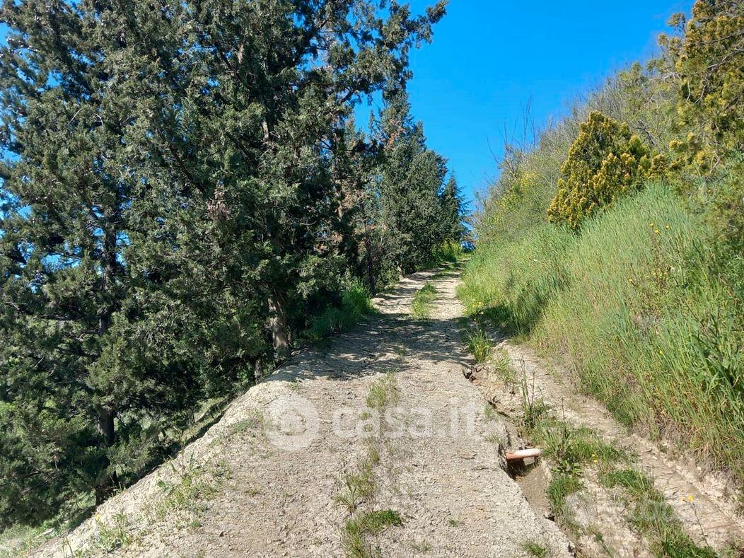 Terreno con piccolo lago - Vista 3