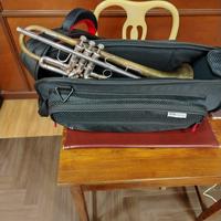 Tromba  “Ripa”  in Si b