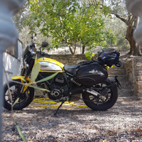 Ducati scrambler 800 icon yellow