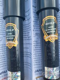KIT 2 AMMORTIZZATORI POST. AD OLIO FIAT BARCHETTA