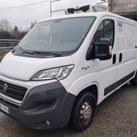 DUCATO FRIGO MOTORE ROTTO