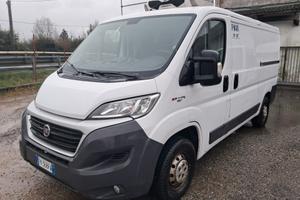 DUCATO FRIGO MOTORE ROTTO