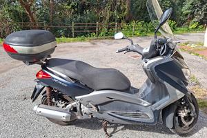 x max 250 