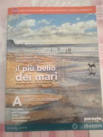 Libro il più bello dei mari