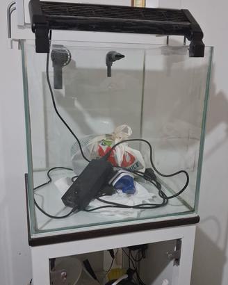 acquario 