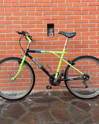 Bicicletta bianchi meta vintage