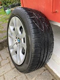 Ruote pirelli BMW X1