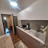 Monolocale ristrutturato