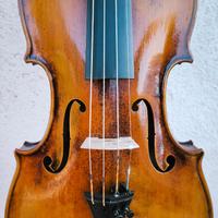 Violino