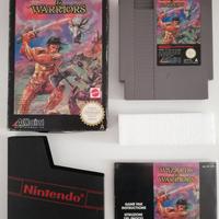 Wizard & Warriors - Nintendo Entertainment System