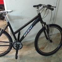 MTB giant