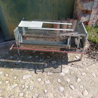 gabbia per quaglie 