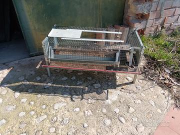 gabbia per quaglie 
