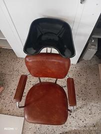sedia con lavabo per caprlli