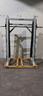 multipower-smith-machine-life-fitness-pro-1