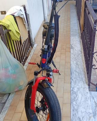 Bici elettrica